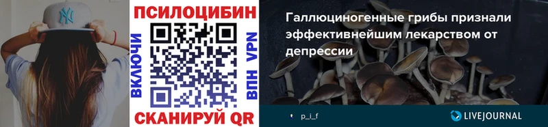 гидра ссылка  Старый Крым  Псилоцибиновые грибы Magic Shrooms 